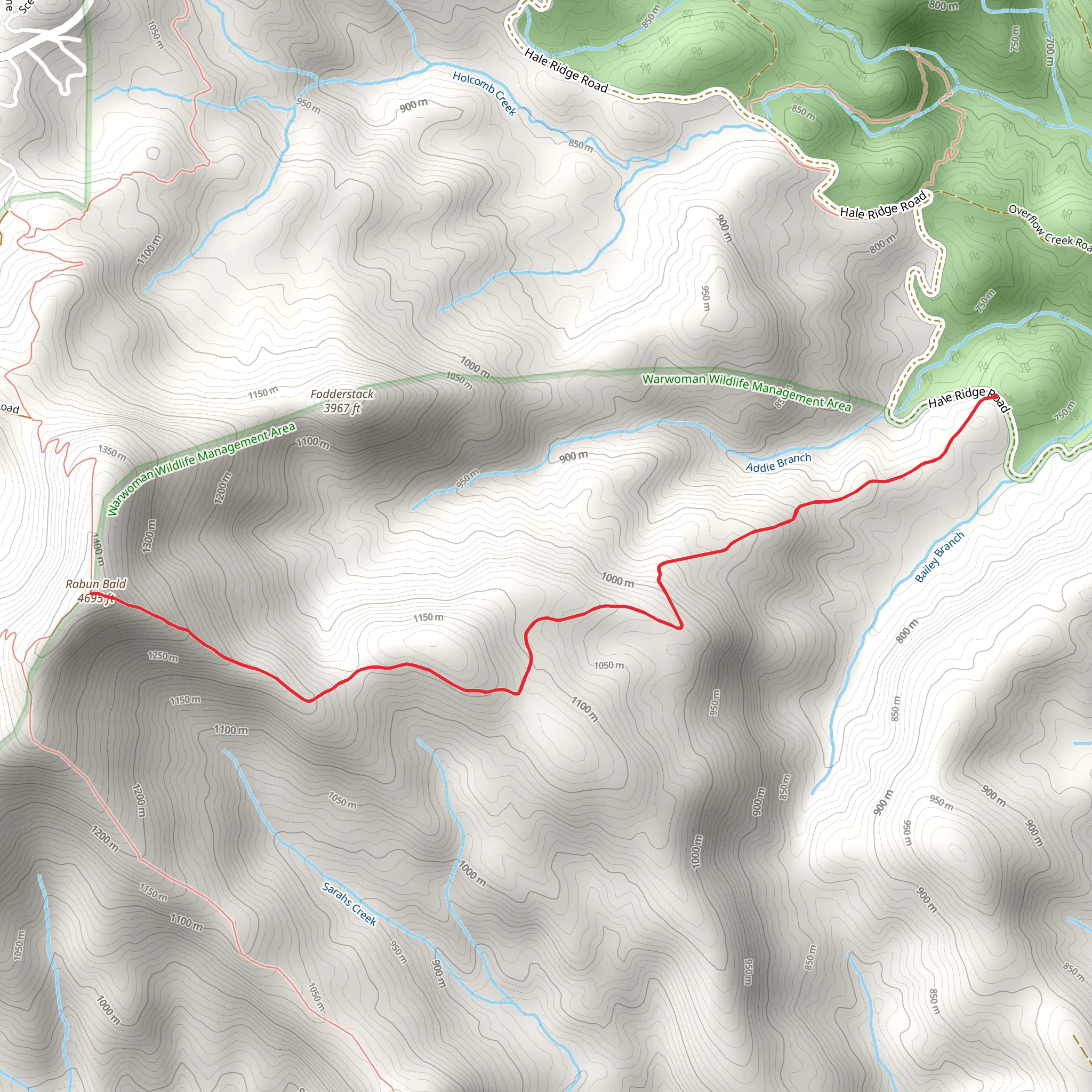 Rabun Bald mobile static map