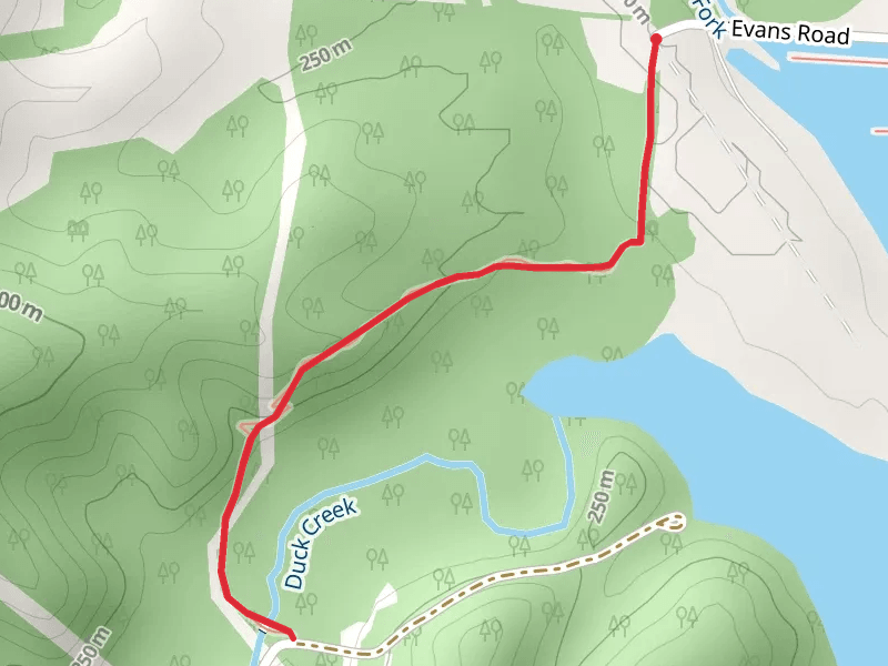Buckeye Trail - Lake Logan