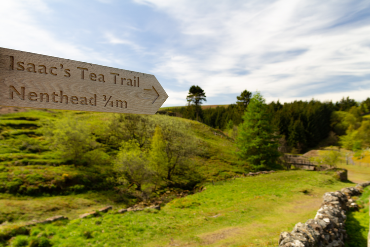 Isaac's Tea Trail