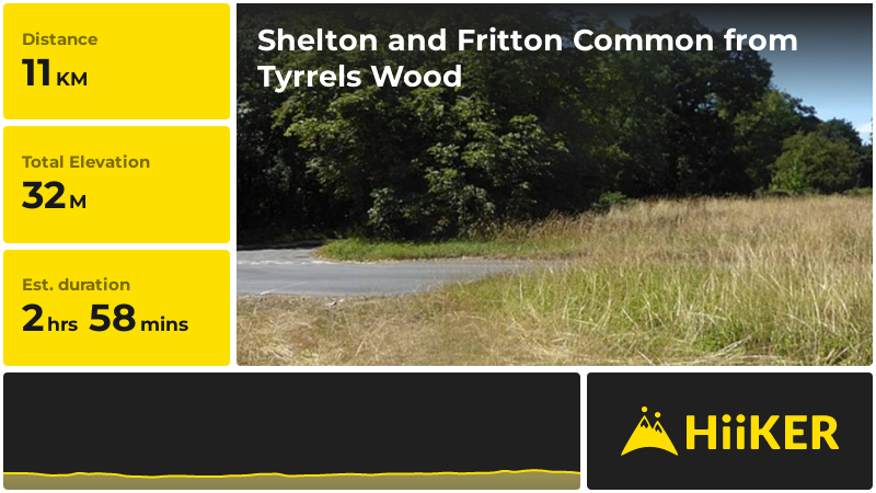 Shelton and Fritton Common from Tyrrels Wood | Norfolk | England
