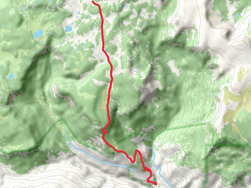 Shingle Peak Trail
