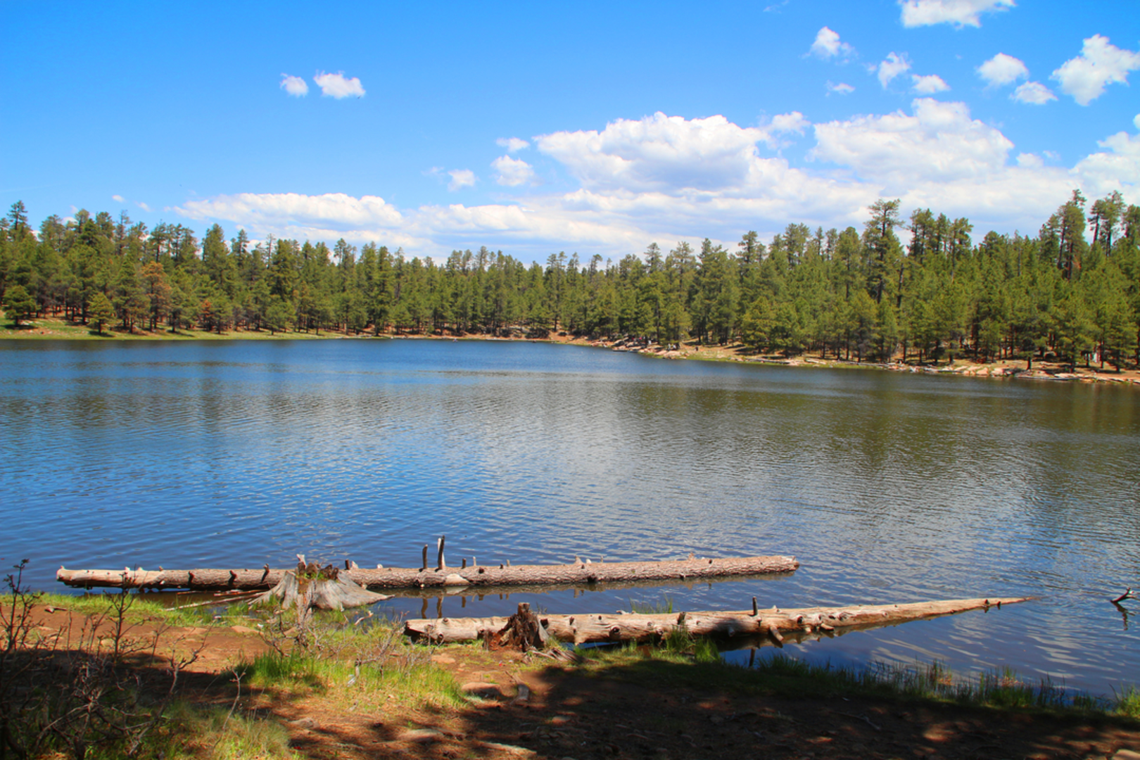 An image depicting the trail General Crook Trail and its surrounding area.