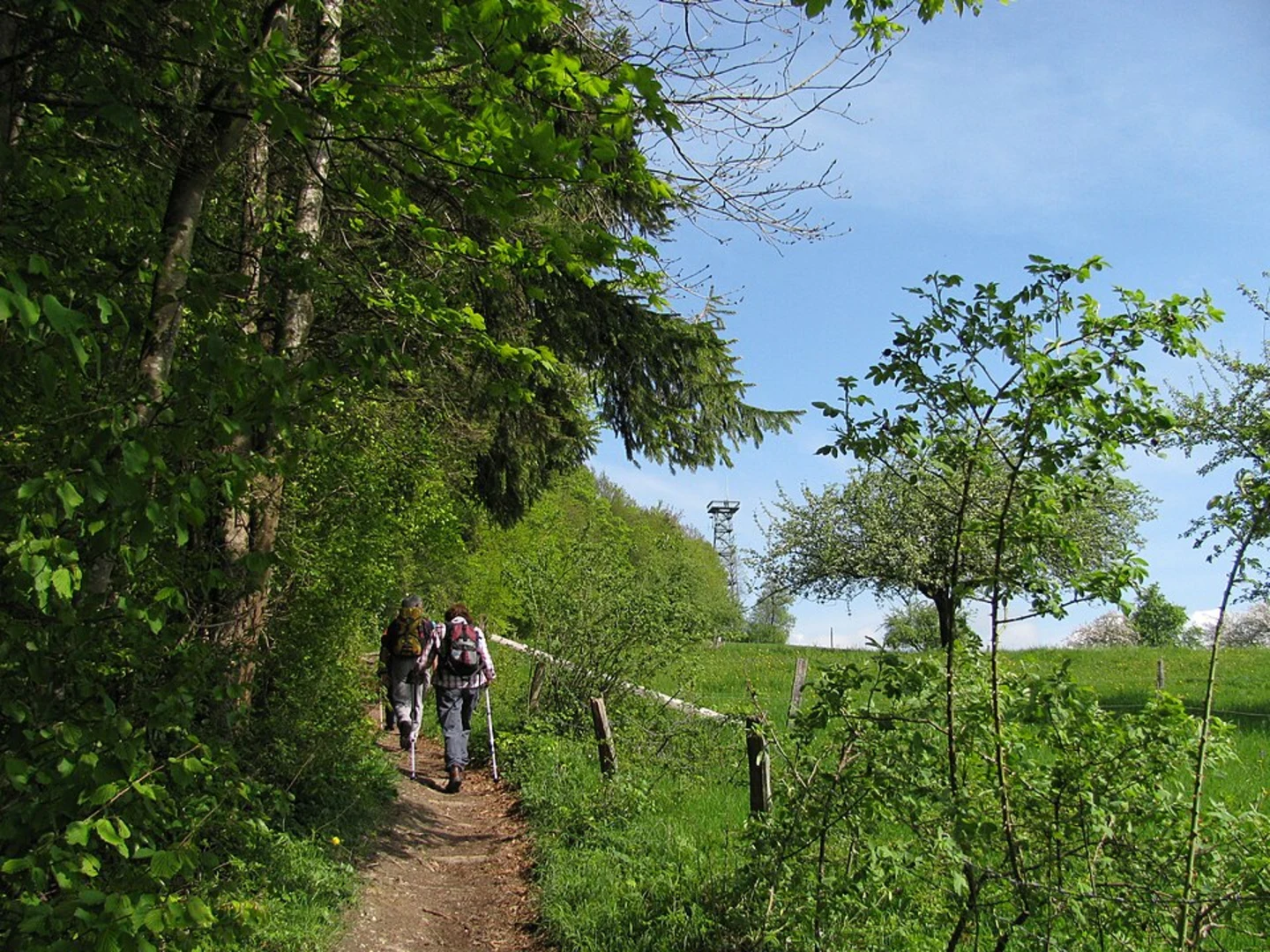 An image depicting the trail Eulenweg Loop and its surrounding area.
