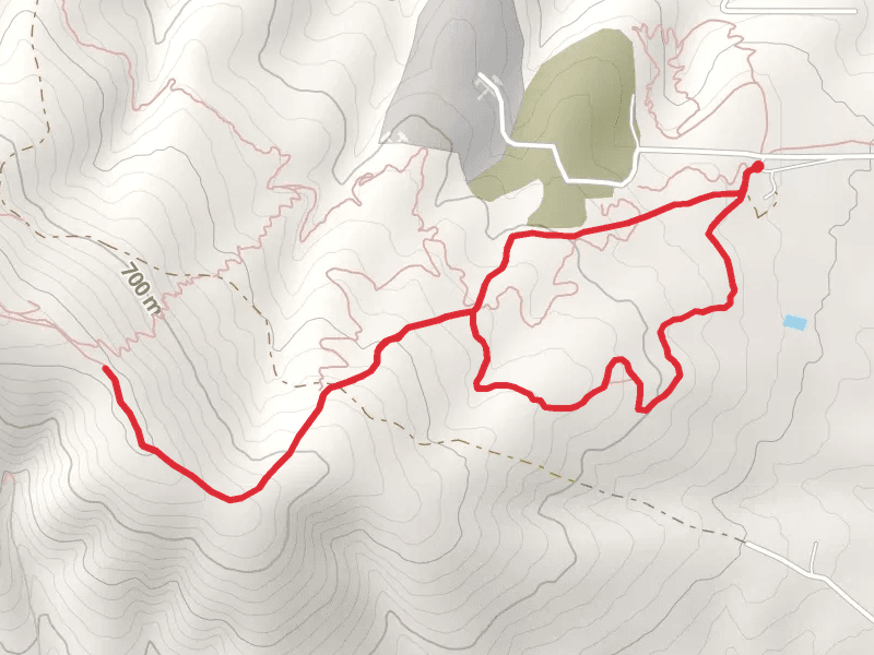 Walk -n- Roll, William O Douglas and Horse Loop Trail