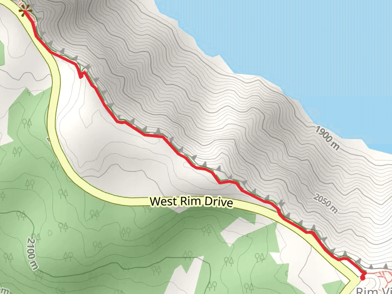 PCT from Rim Village Road