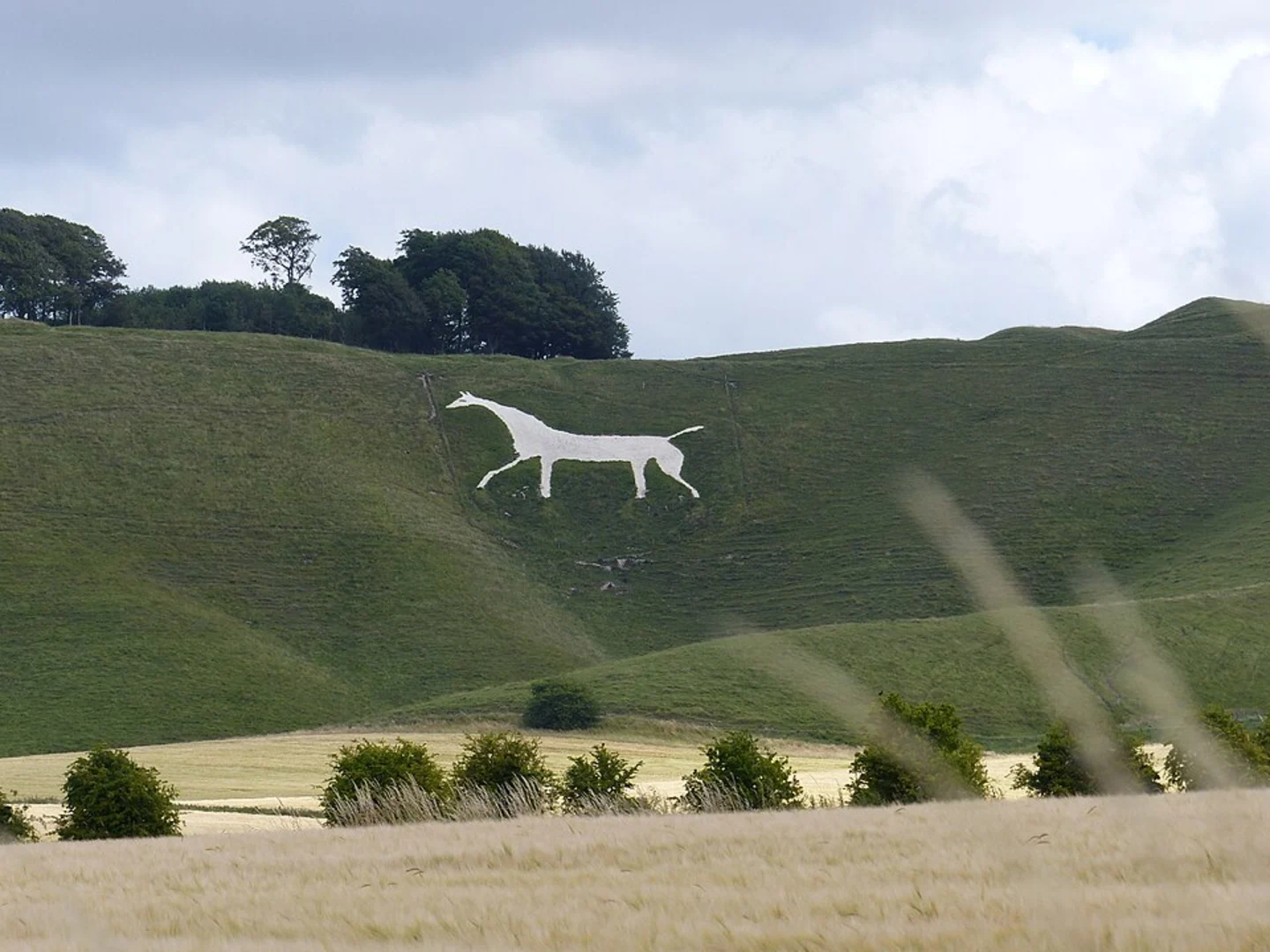 An image depicting the trail Morgan's Hill, Cherhill Hill and Hill Figure Loop and its surrounding area.