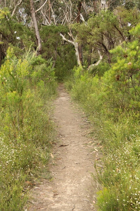 Lovers Track