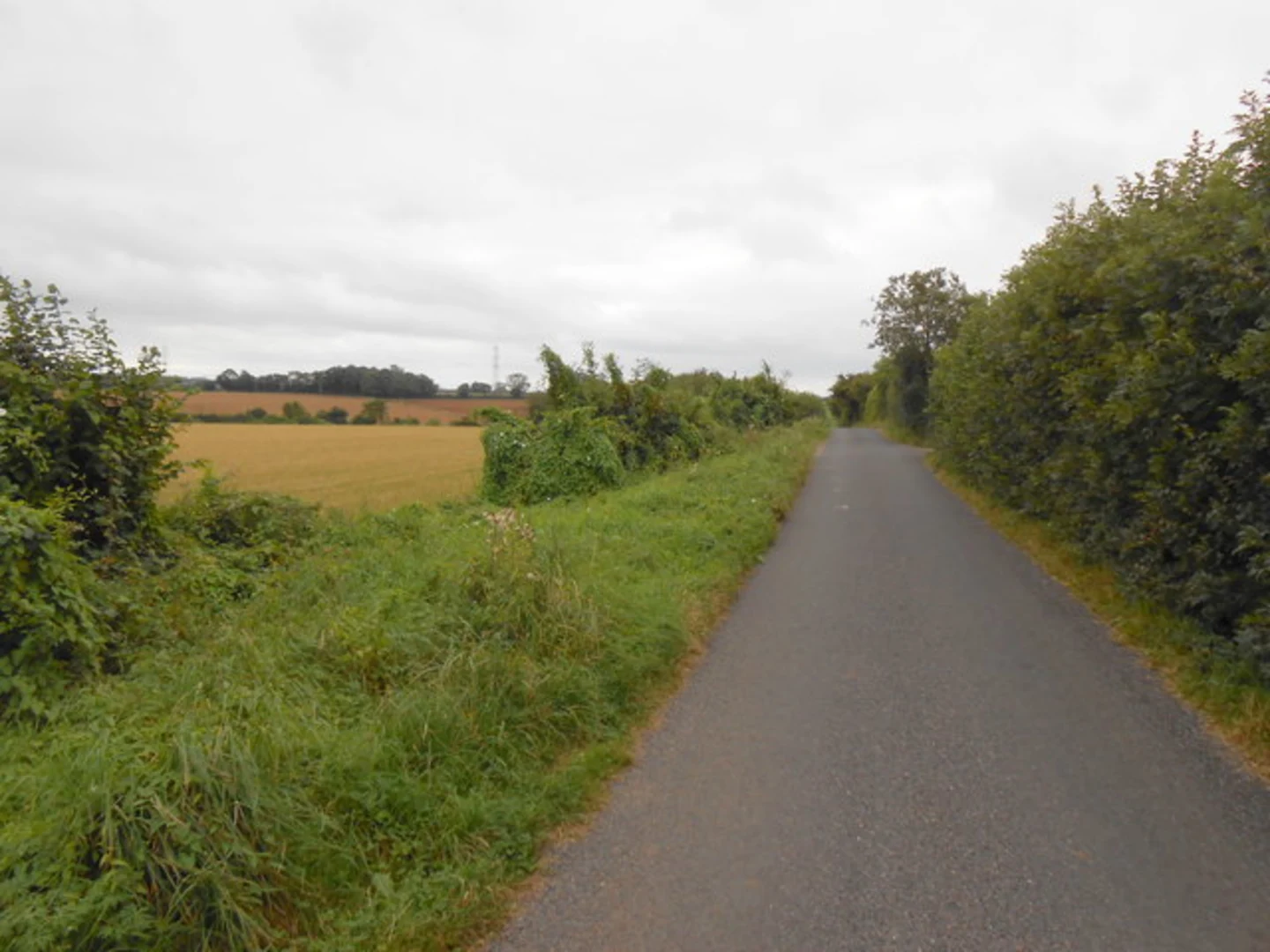 An image depicting the trail Marshfield - West Kington Loop and its surrounding area.