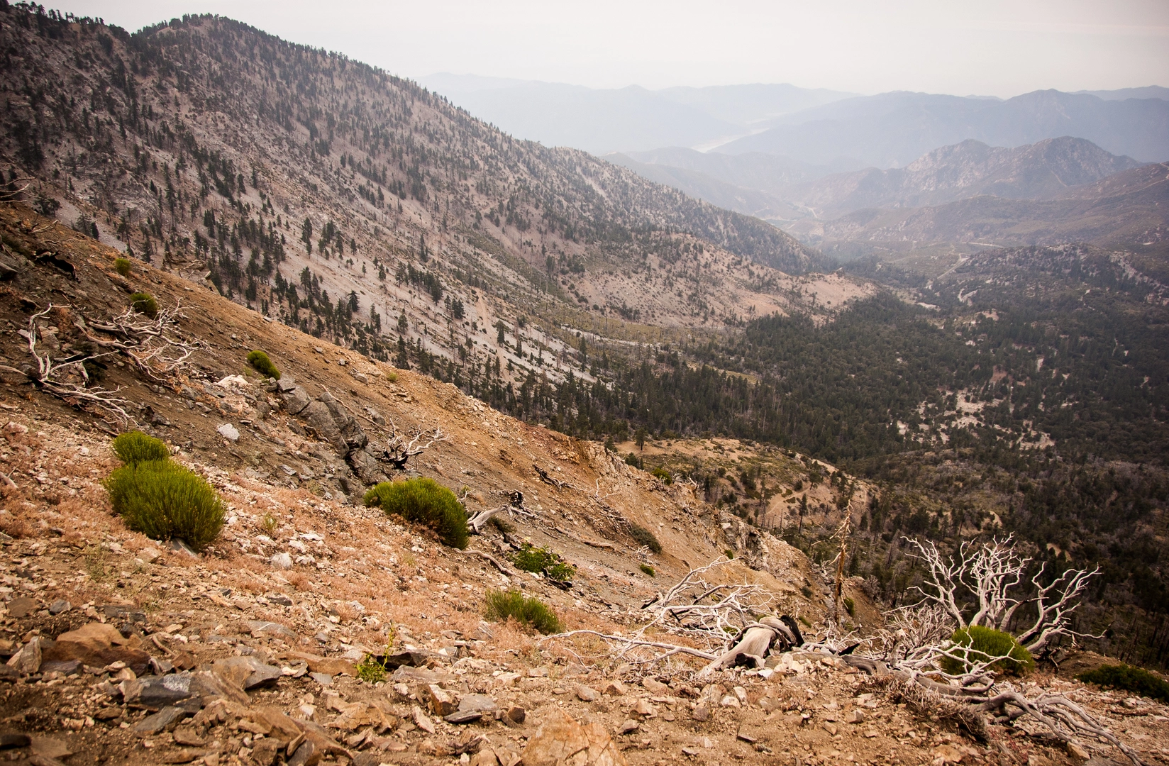 An image depicting the trail Mount Hawkins via Pacific Crest Trail and its surrounding area.