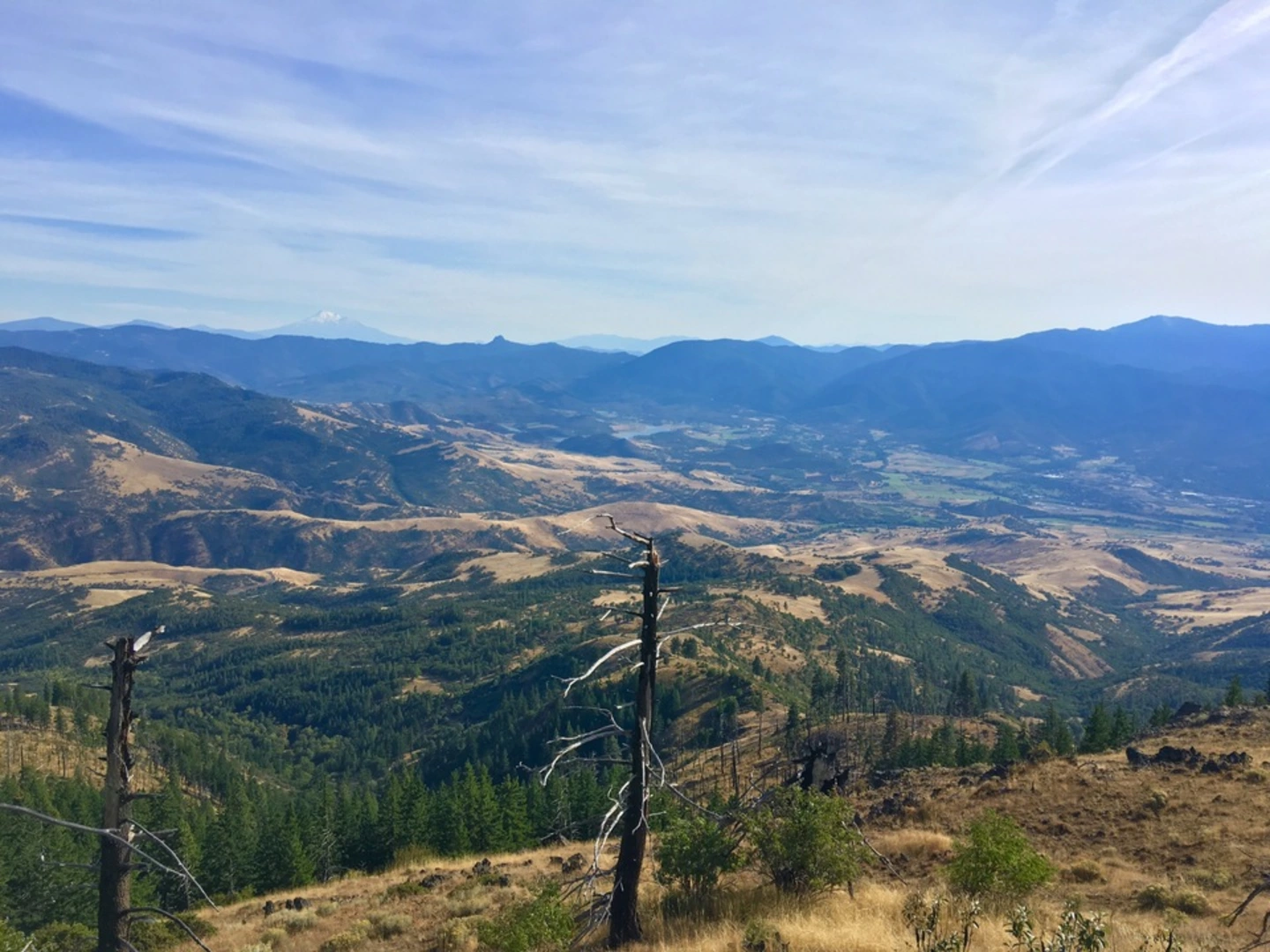 An image depicting the trail Grizzly Peak Loop Trail and its surrounding area.