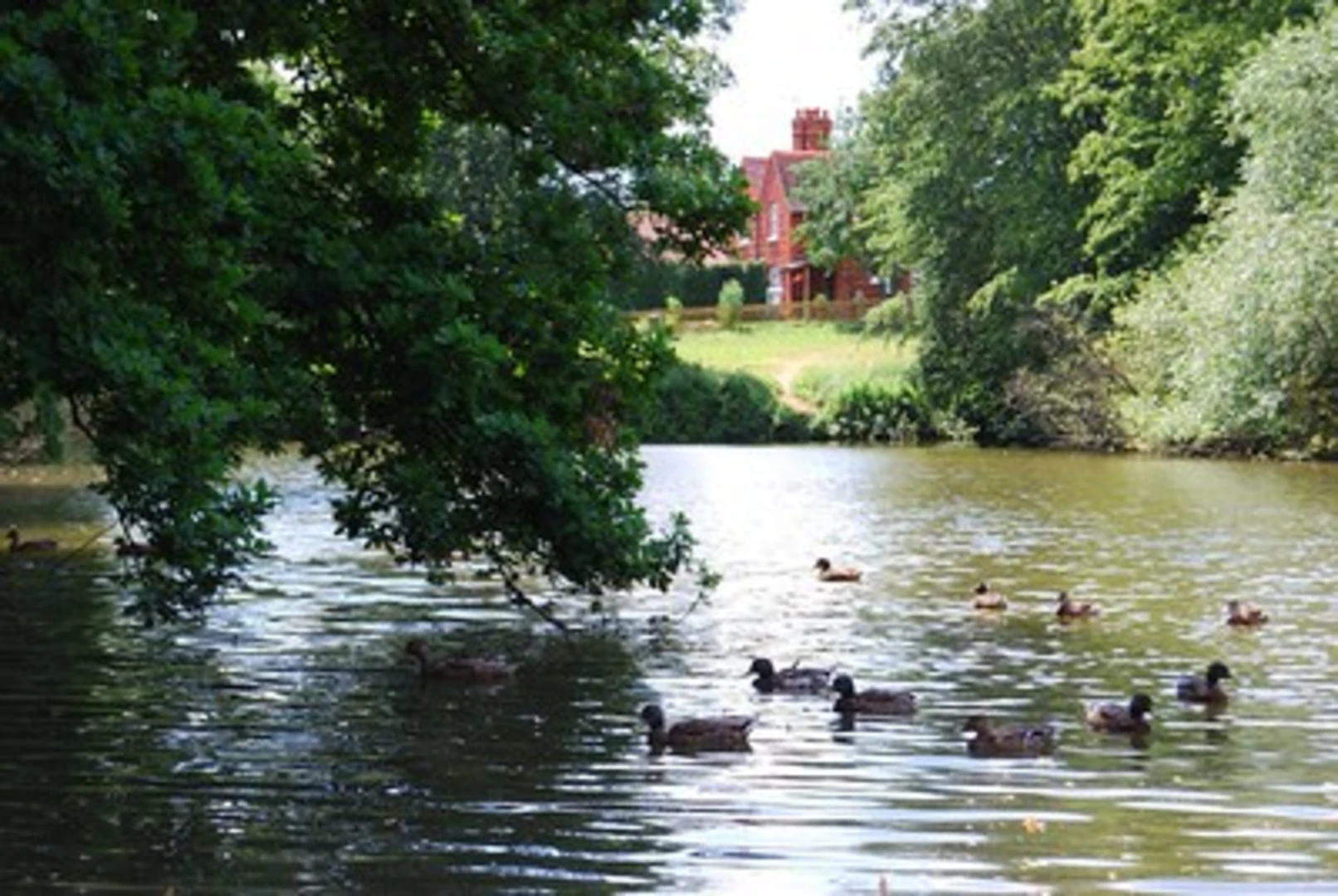 An image depicting the trail The Village Circular Path and its surrounding area.