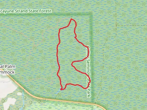 Adventure Loop Trail - Short