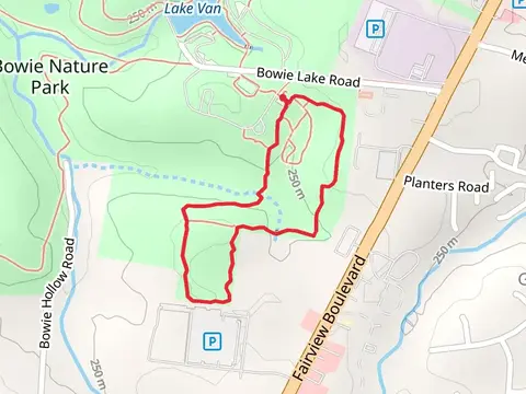 Bowie Lake Road Loop