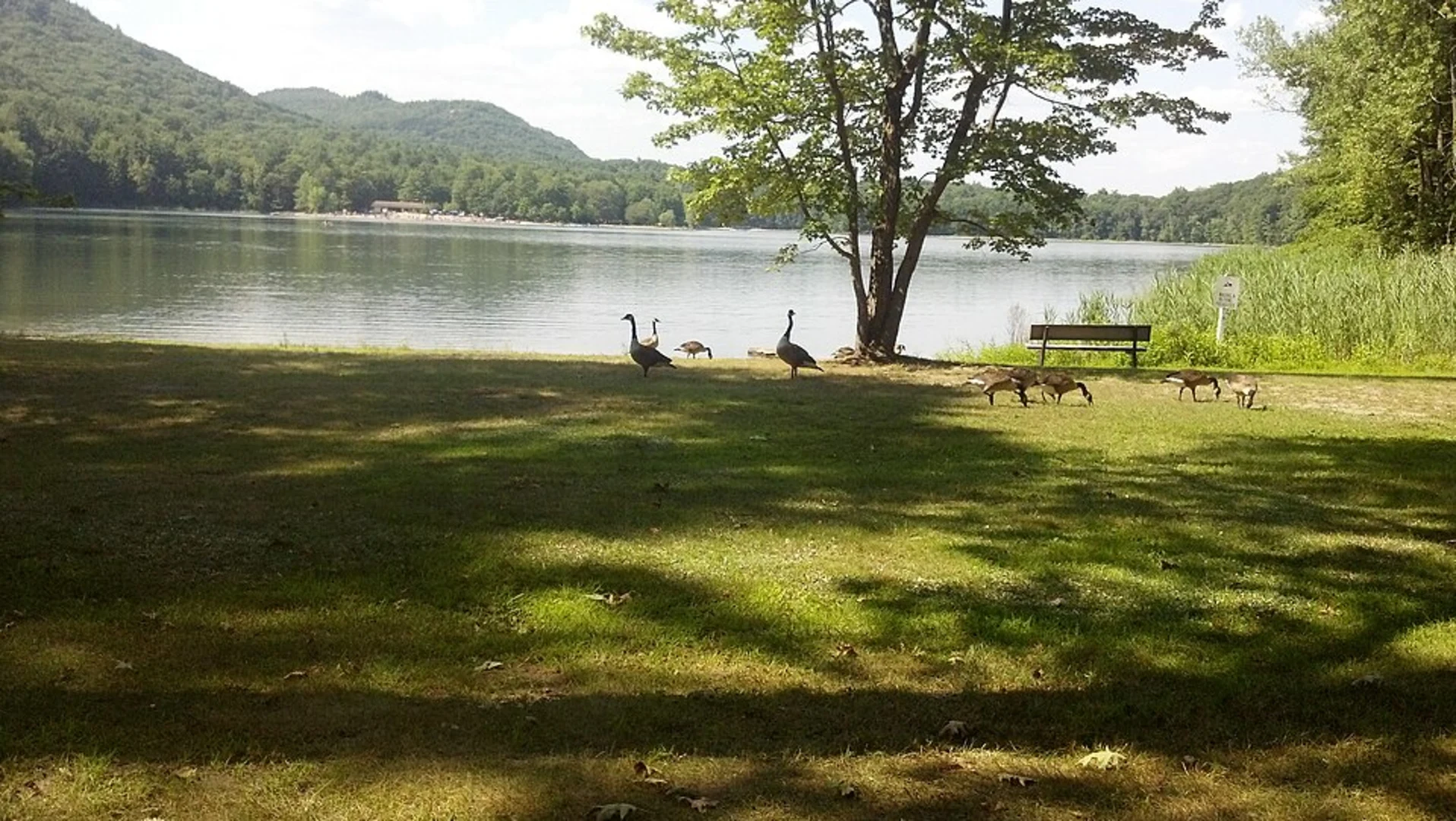 An image depicting the trail Moreau Lake and Mud Pond Loop via Red Oak Ridge Trail and its surrounding area.