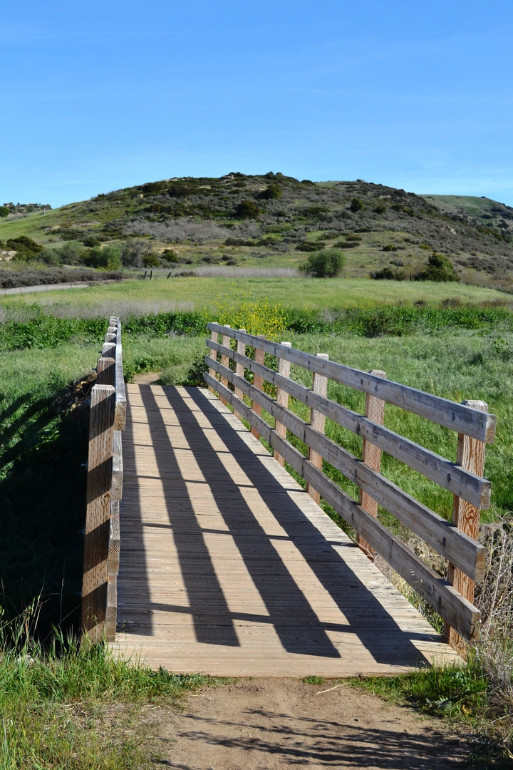An image depicting the trail Bommer Meadow - Bommer Pass - Nature Loop and West Fork Loop Trail and its surrounding area.