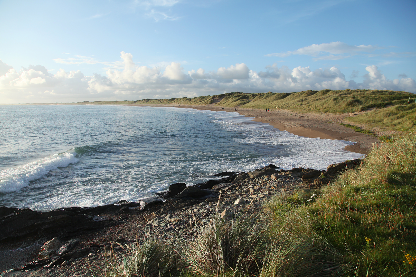 An image depicting the trail Kilmore Quay - Ballyteige Burrow Trail and its surrounding area.