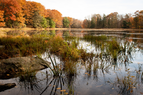 Big Lake Trail, Lakefront Trail and Great Camp Trail