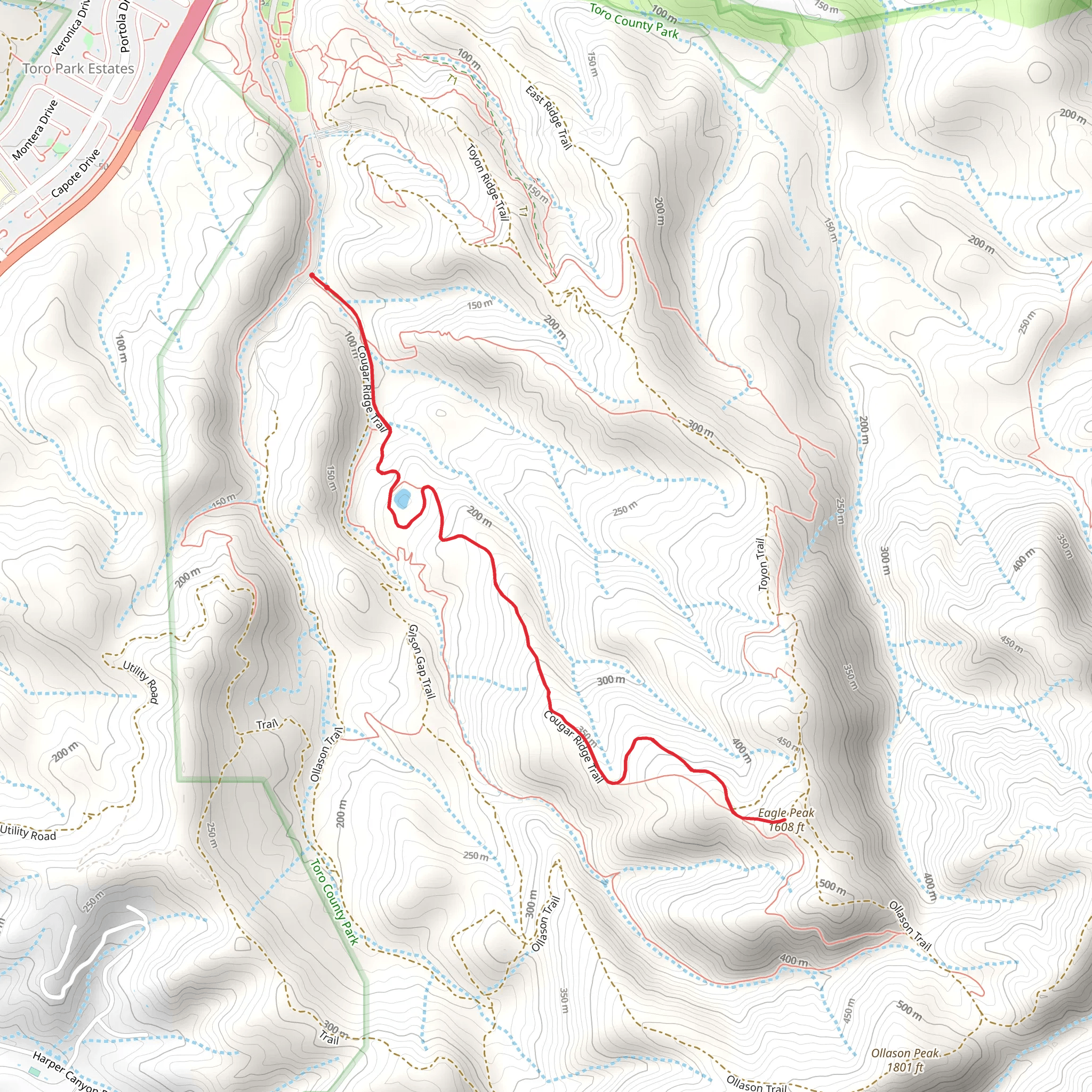 Cougar Ridge Trail mobile static map
