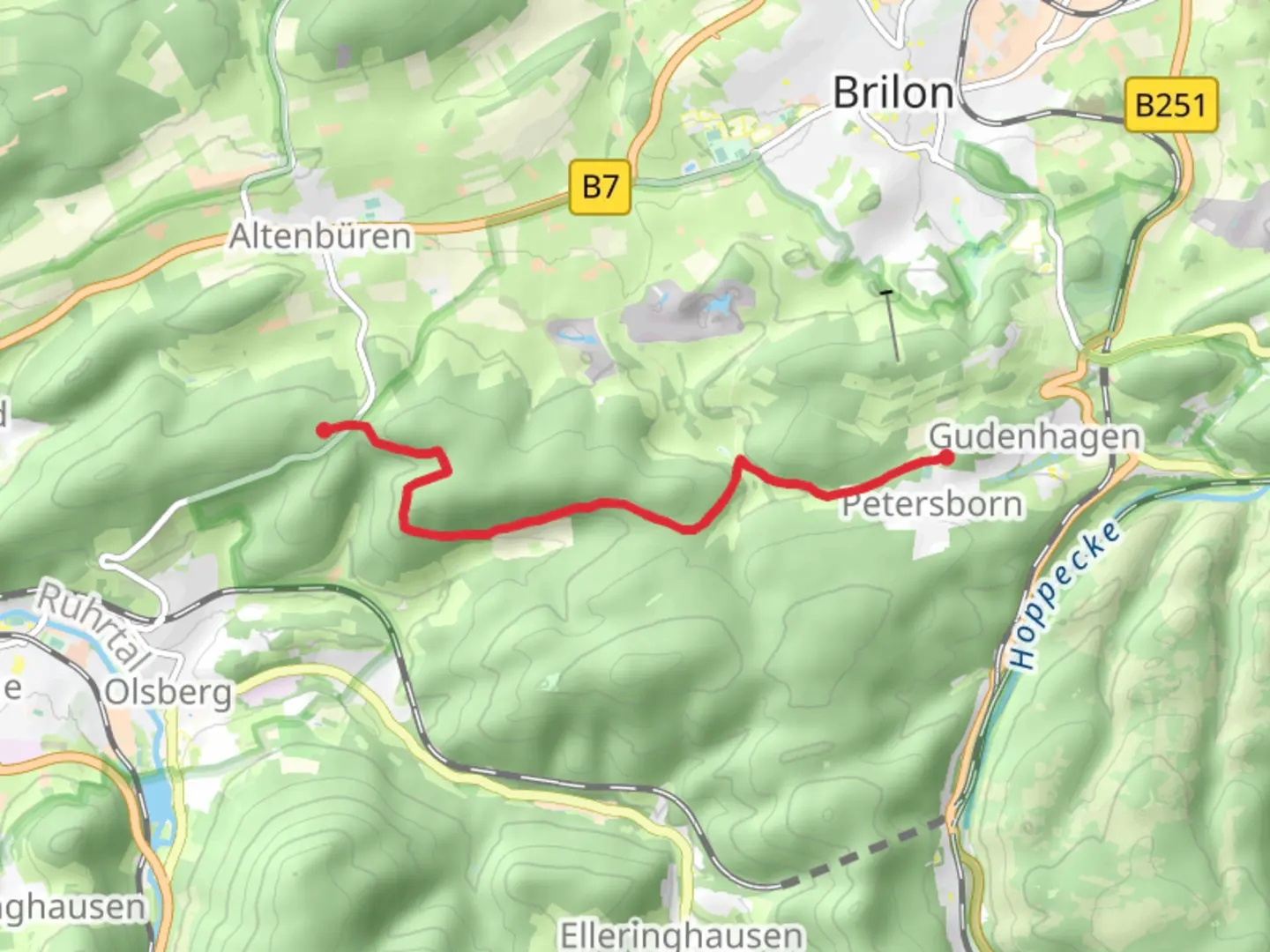 An image depicting the trail Petersborn to Langer Berg Walk and its surrounding area.