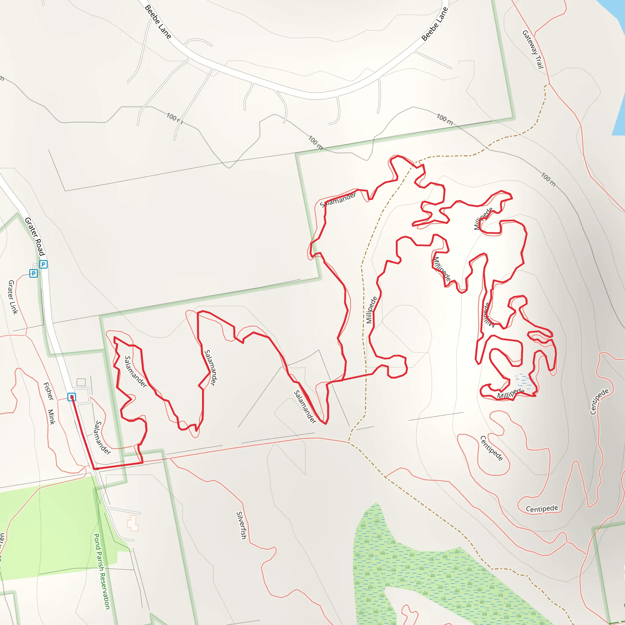 Salamander and Millipede Loop mobile static map