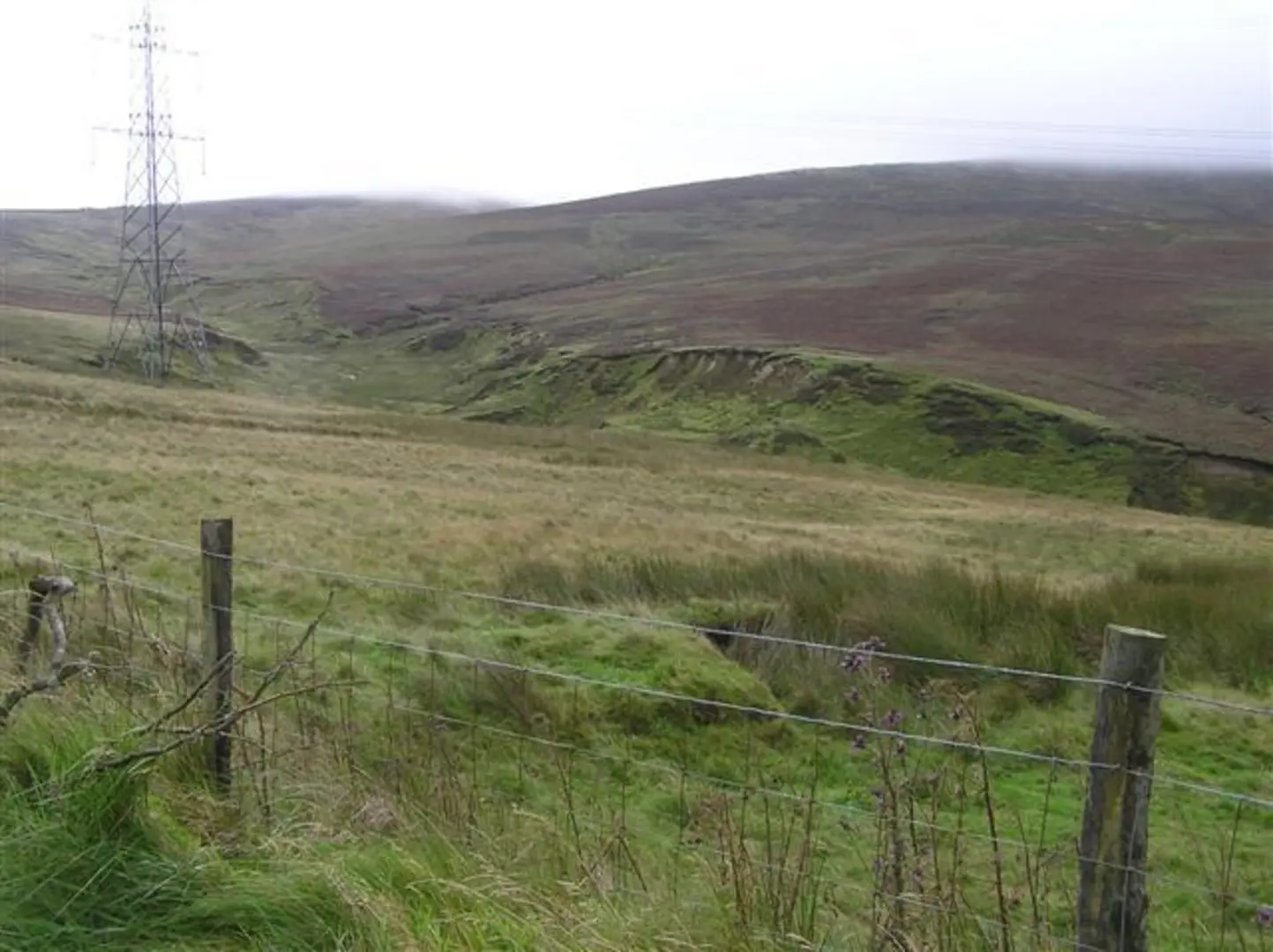 An image depicting the trail Meenard and Mullaghaneany Mountain Loop and its surrounding area.