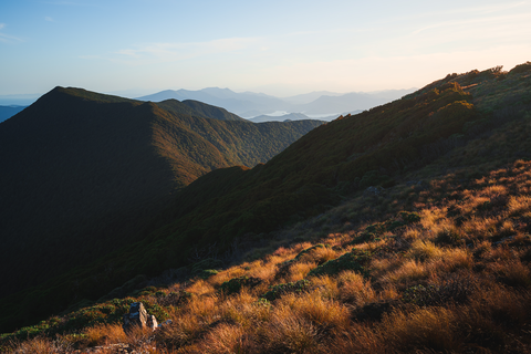 Mount Stokes Track