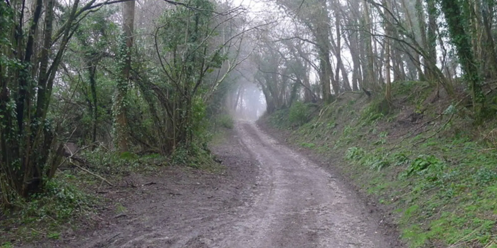 An image depicting the trail Plush and Wessex Ridgeway and its surrounding area.