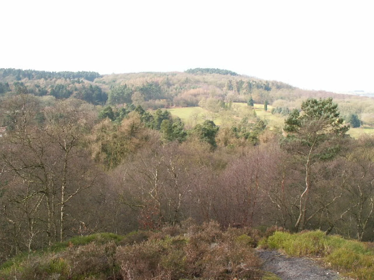 An image depicting the trail Wesley Hills to Hopwood Walk and its surrounding area.