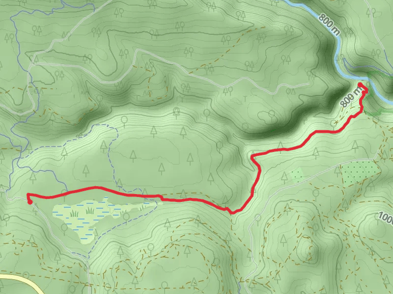 Camas Trail