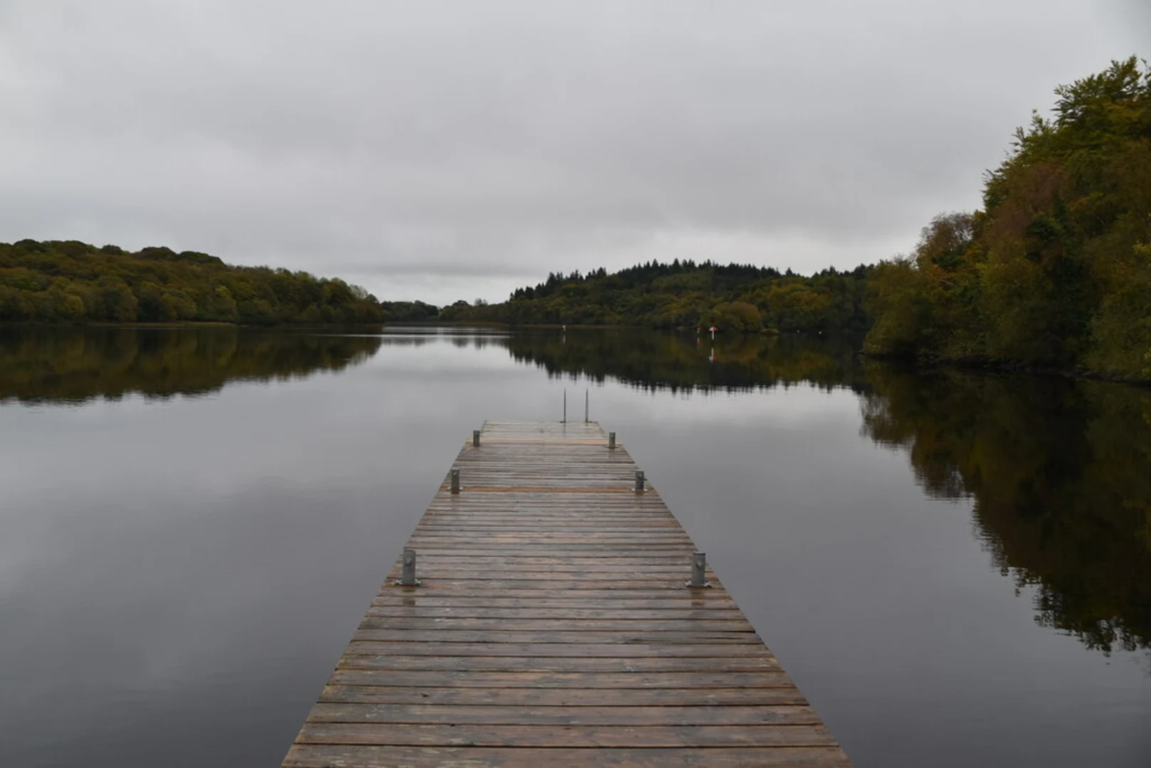 An image depicting the trail Ely Lodge Forest – Carrickreagh Viewpoint Walk and its surrounding area.