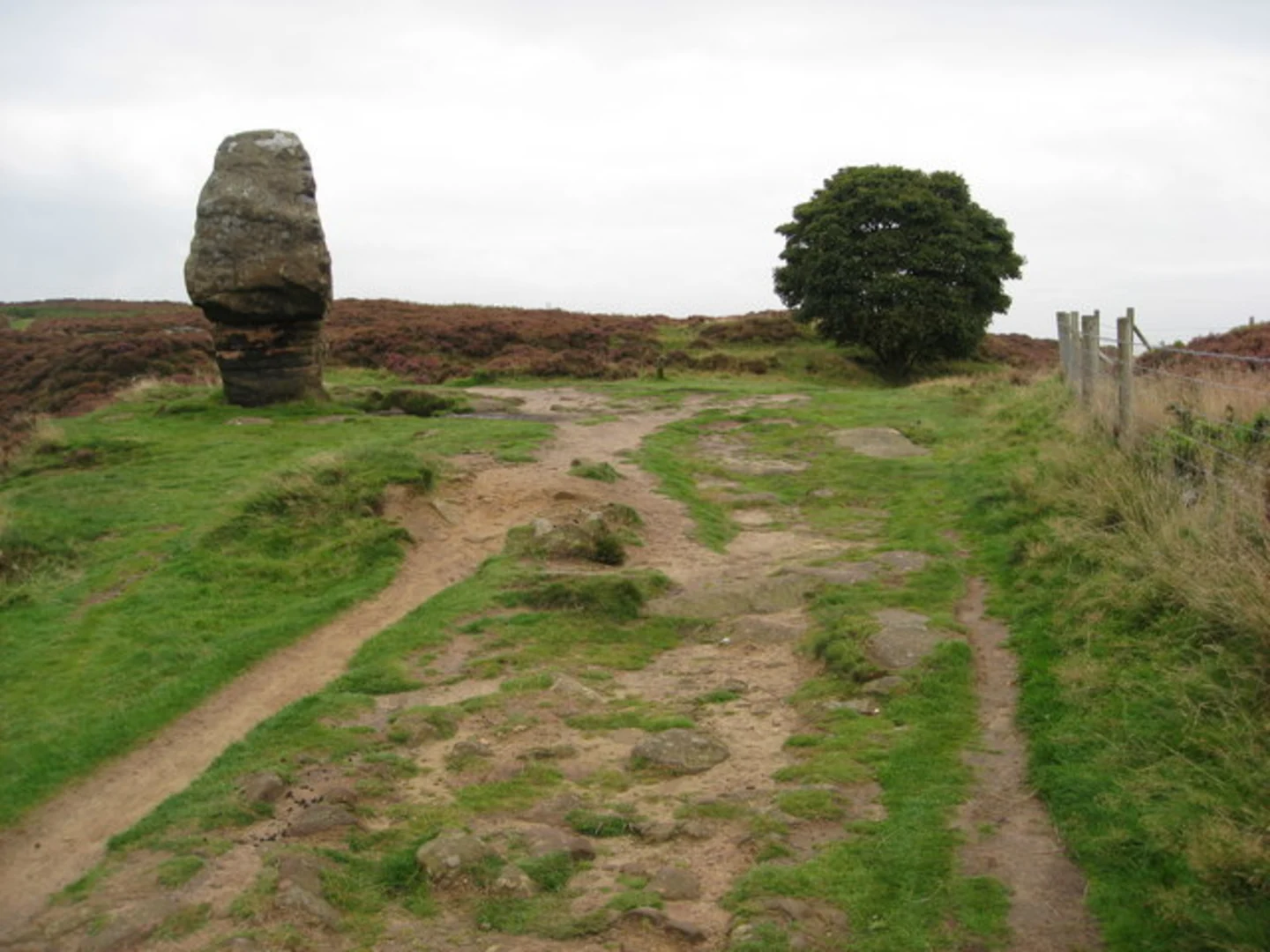 An image depicting the trail Cork Stone and Stanton Moor Loop Walk and its surrounding area.