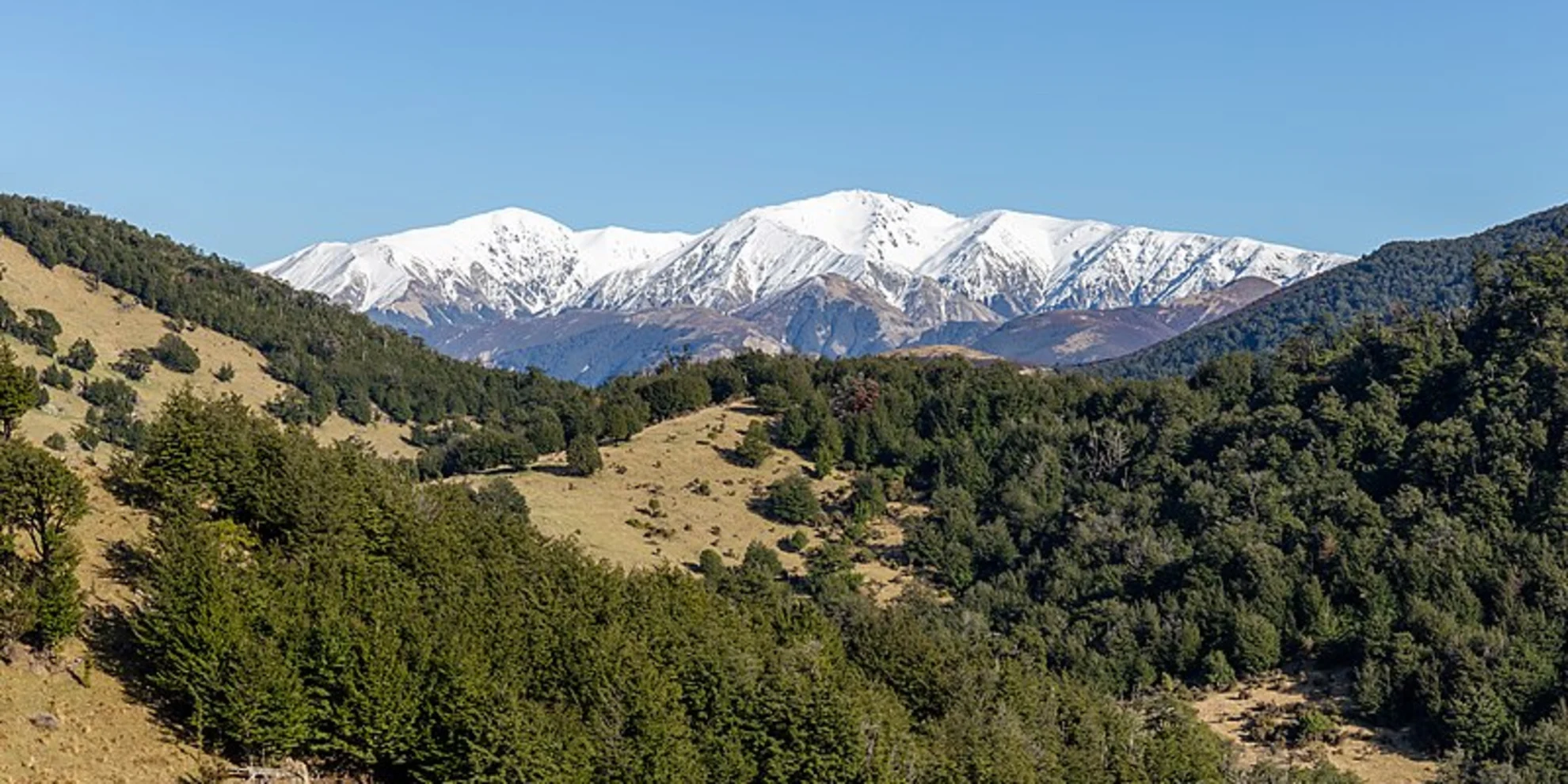 An image depicting the trail View Hill Car Park to Black Hill Hut and its surrounding area.