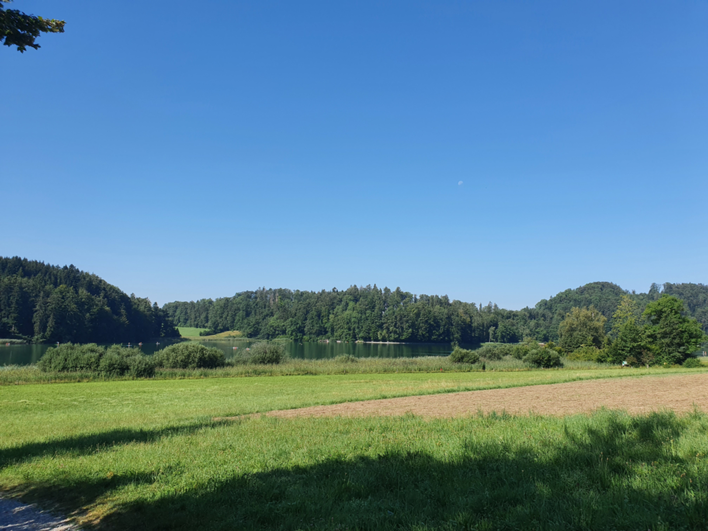 An image depicting the trail Mettmenstetten to Turlersee Lake Trail and its surrounding area.