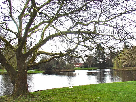 Vledderbos and Broeklanden Loop