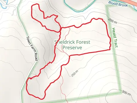 Swift Way and Helen's Path Loop