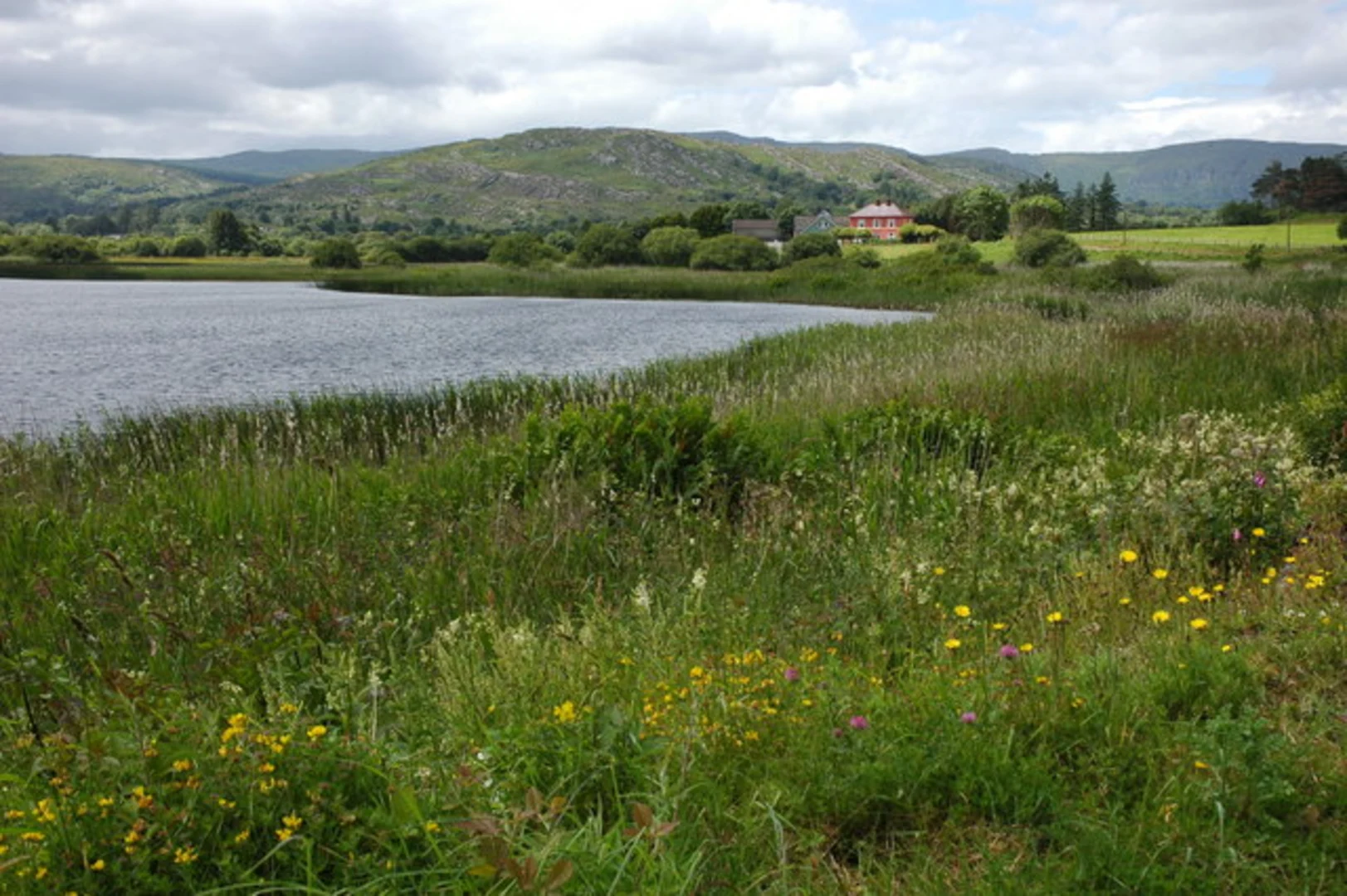 An image depicting the trail Ballingeary Loops – Kealvaugh Loop and its surrounding area.