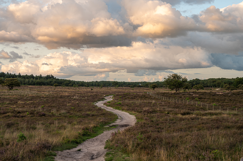 Westerheide Loop