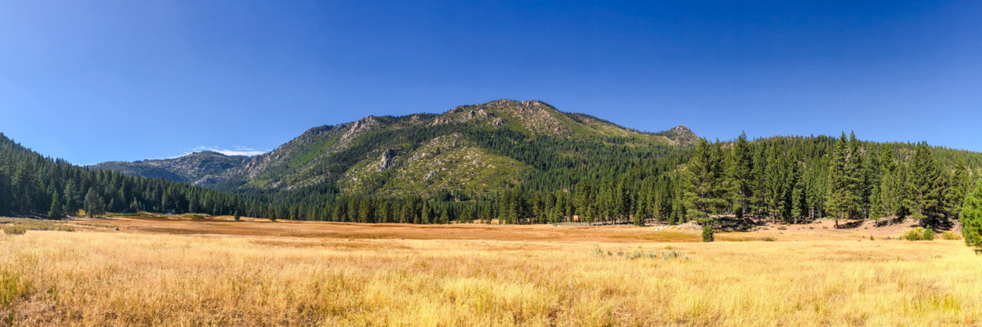 An image depicting the trail Lower Charity Loop Trail and its surrounding area.