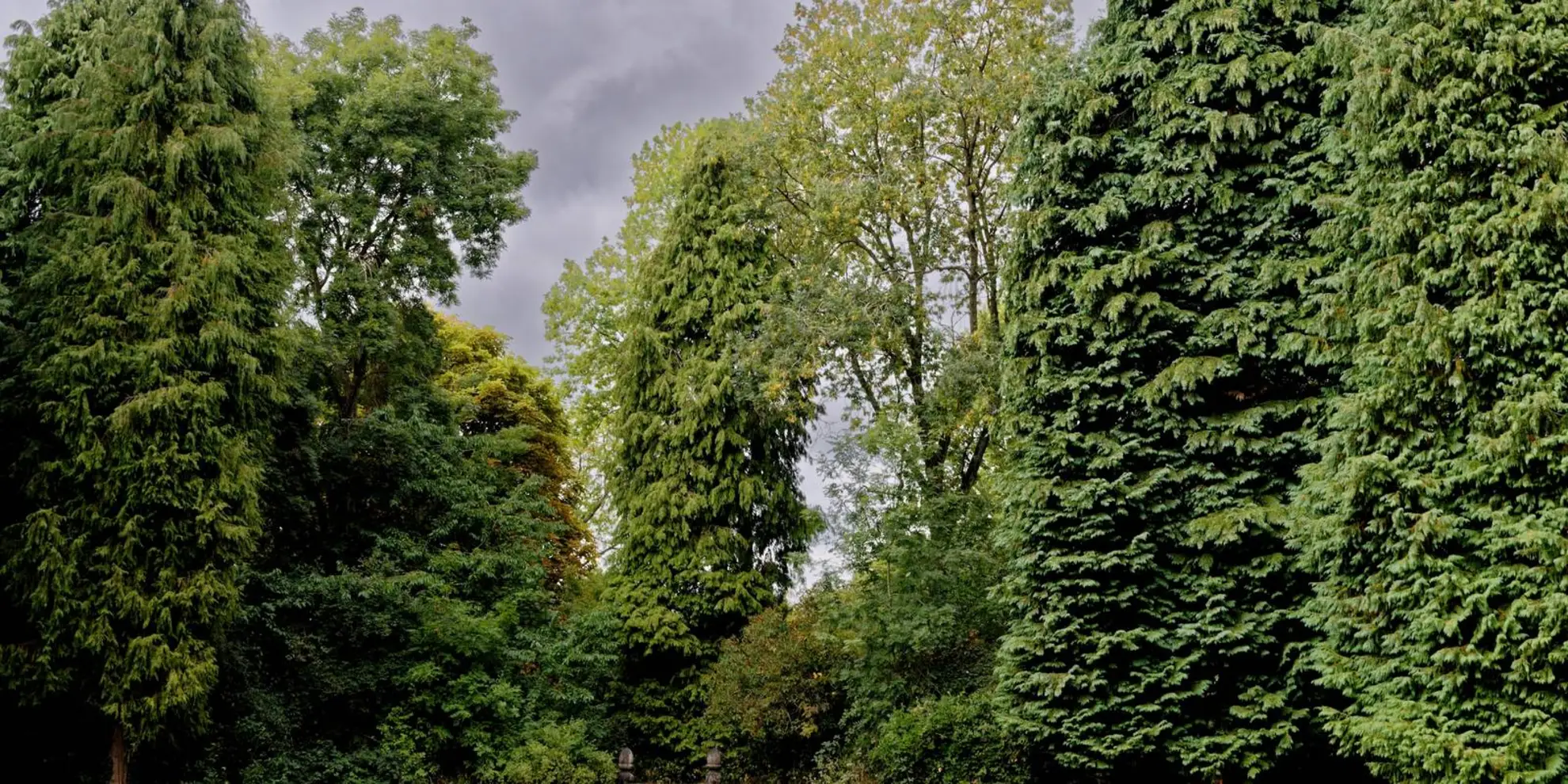 An image depicting the trail Whipsnade Tree Cathedral Walk and its surrounding area.