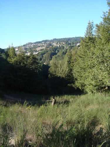 York and McDonell Loop Trail