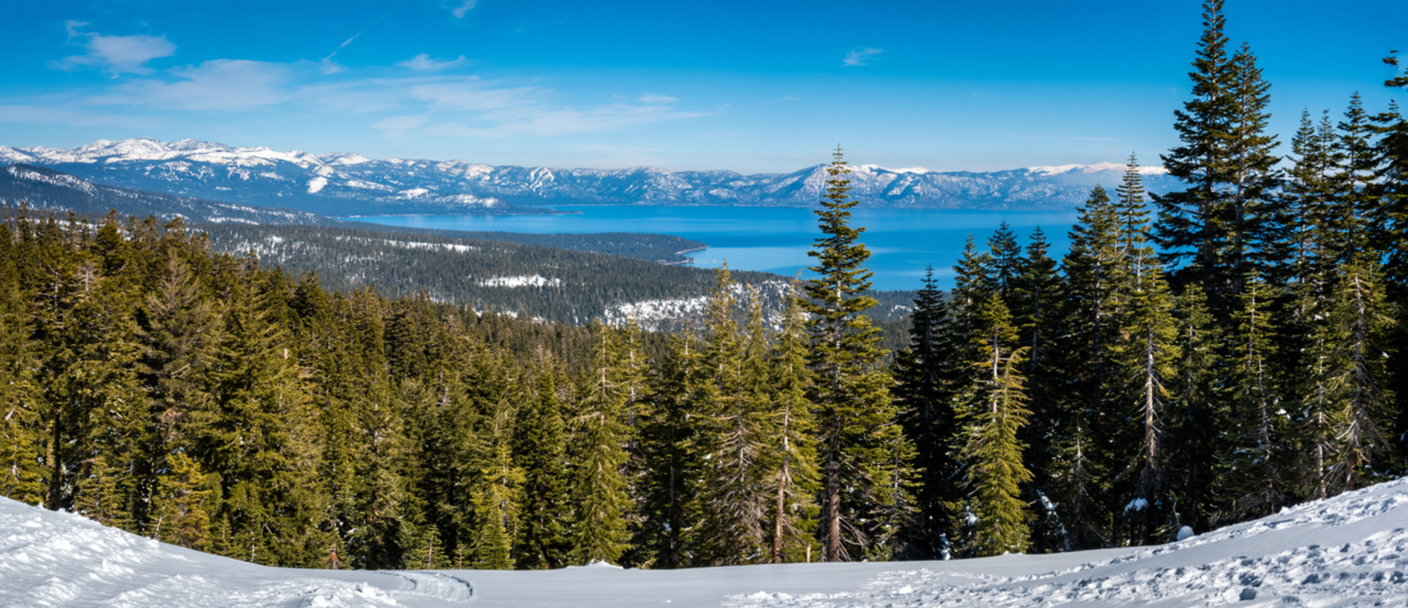 An image depicting the trail Squaw Valley - Western States Connector Trail and its surrounding area.