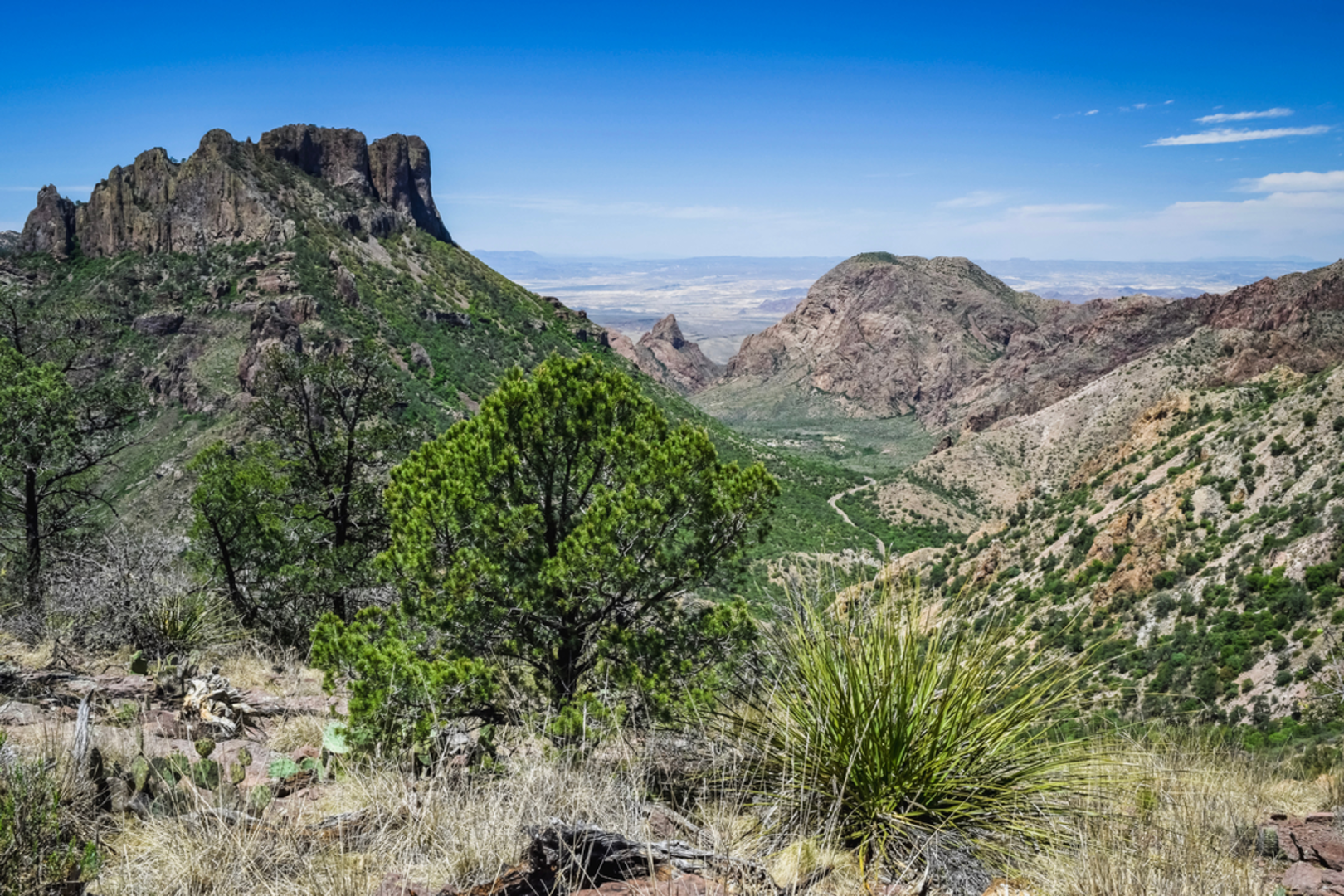An image depicting the trail Lost Mine Trail and its surrounding area.