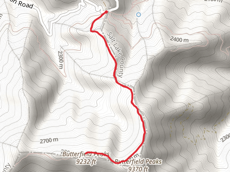 Butterfield Peaks Out and Back