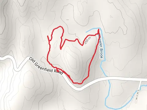 Wheeler Brook from Old Greenfield Road