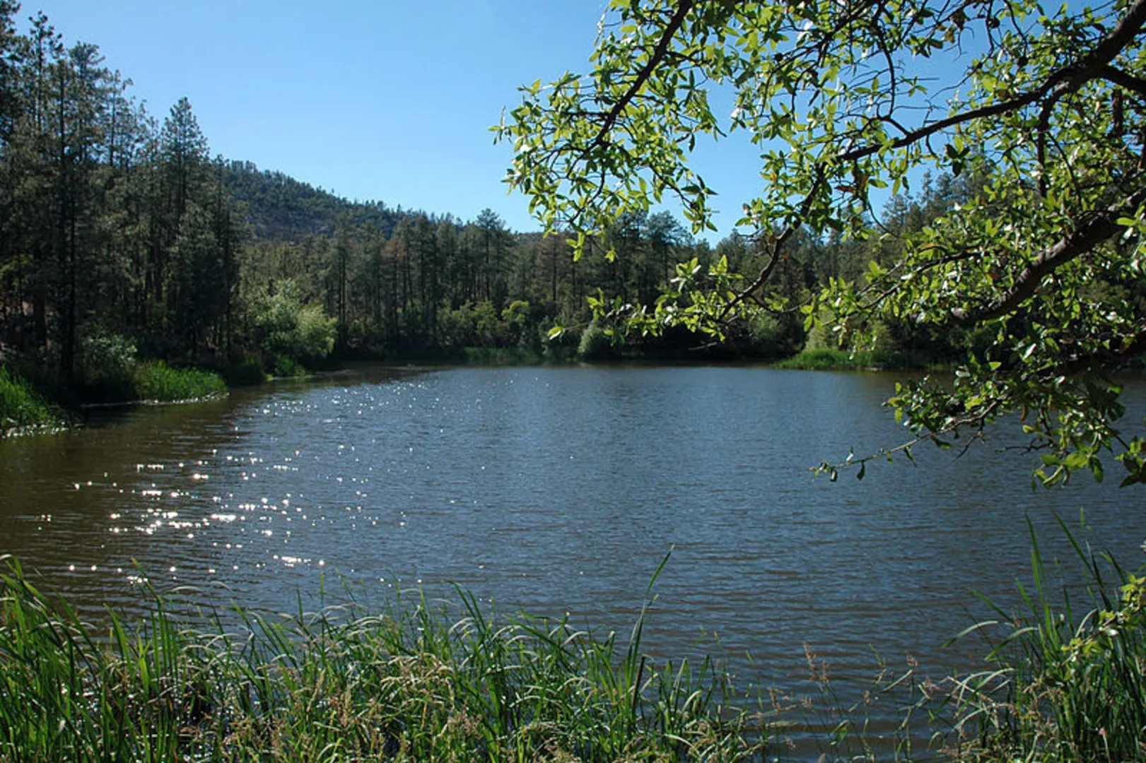 An image depicting the trail Horsethief Lookout Trail and its surrounding area.