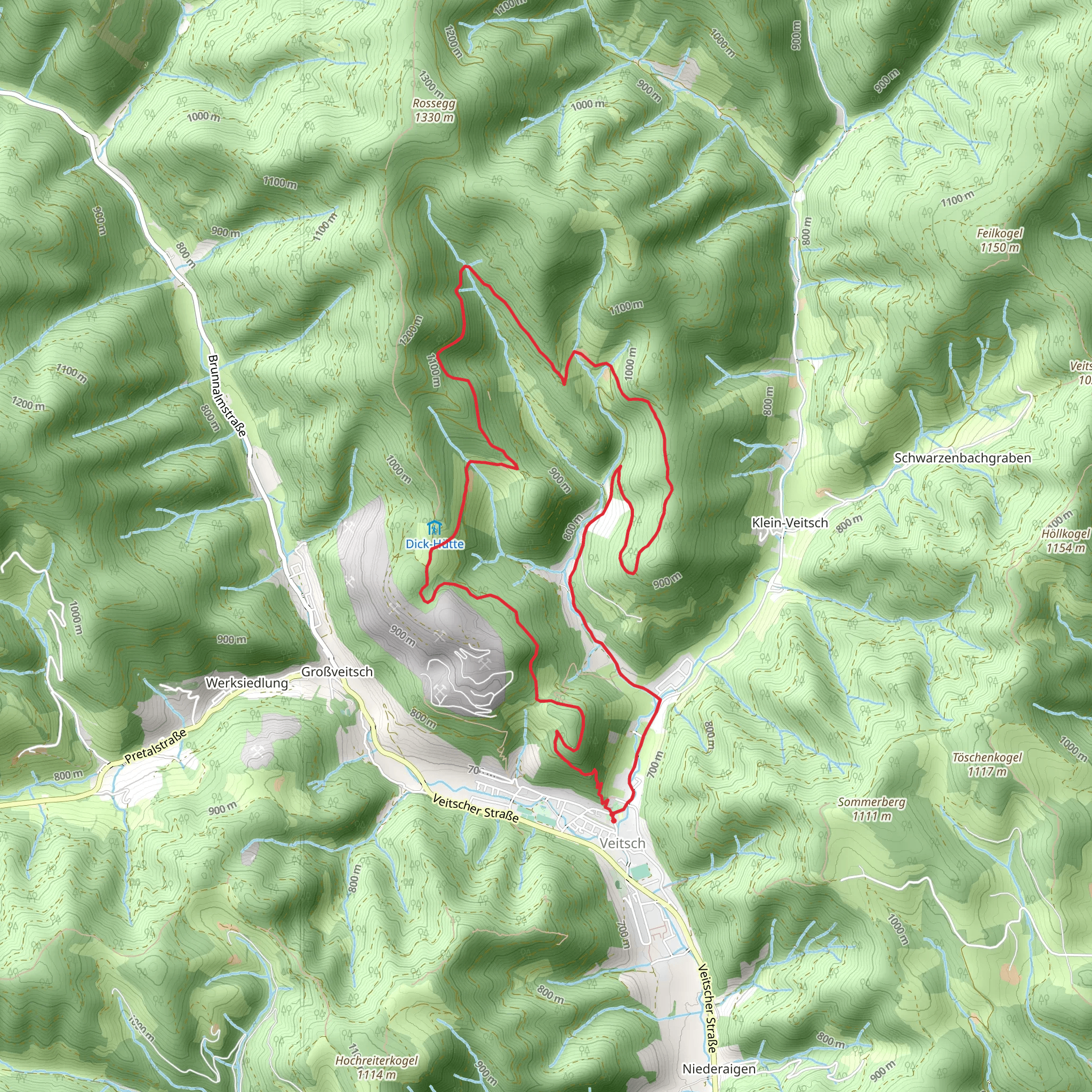Veitsch - Magnesite Trail mobile static map