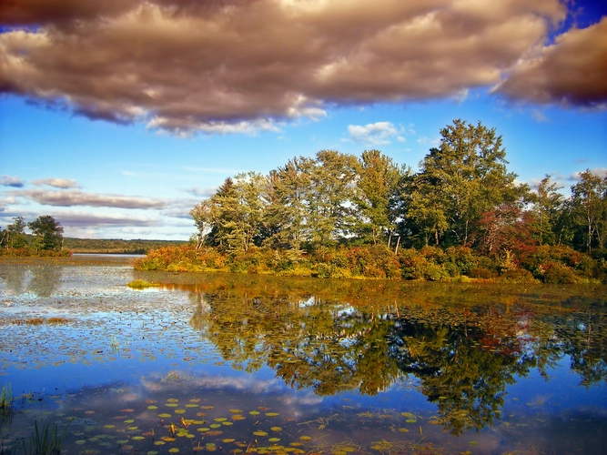 Pecks Pond