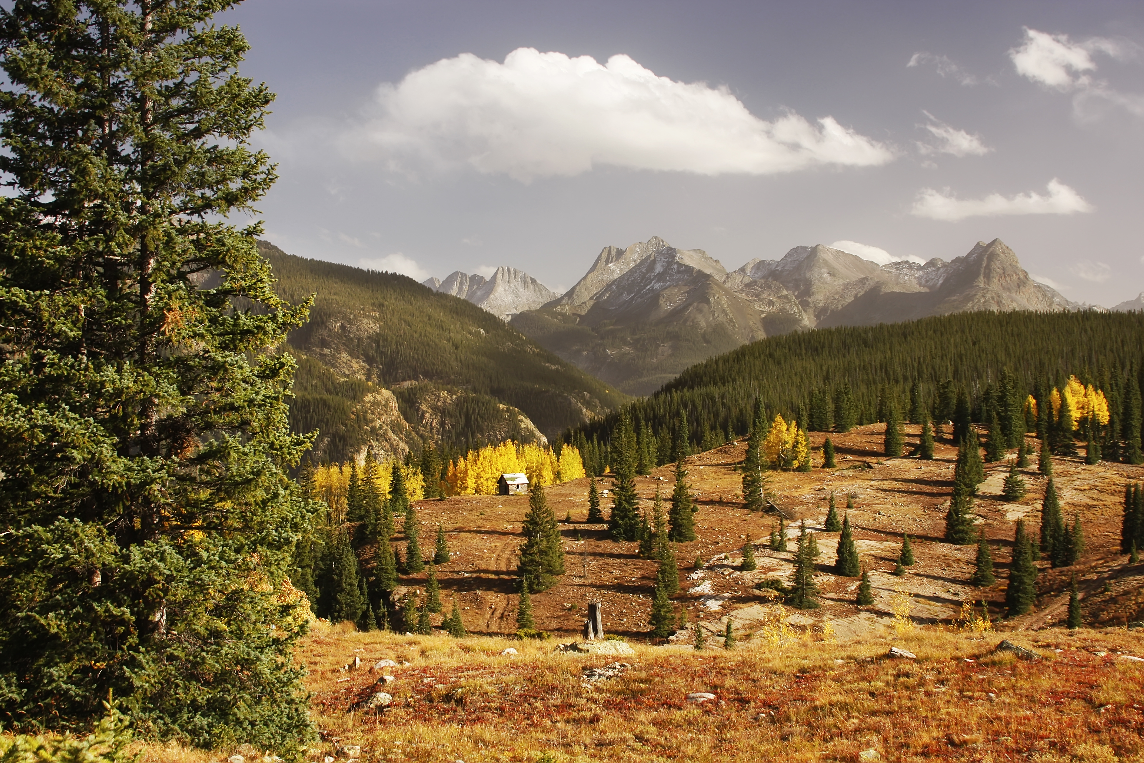 An image depicting the trail Rio Grande National Forest and its surrounding area.