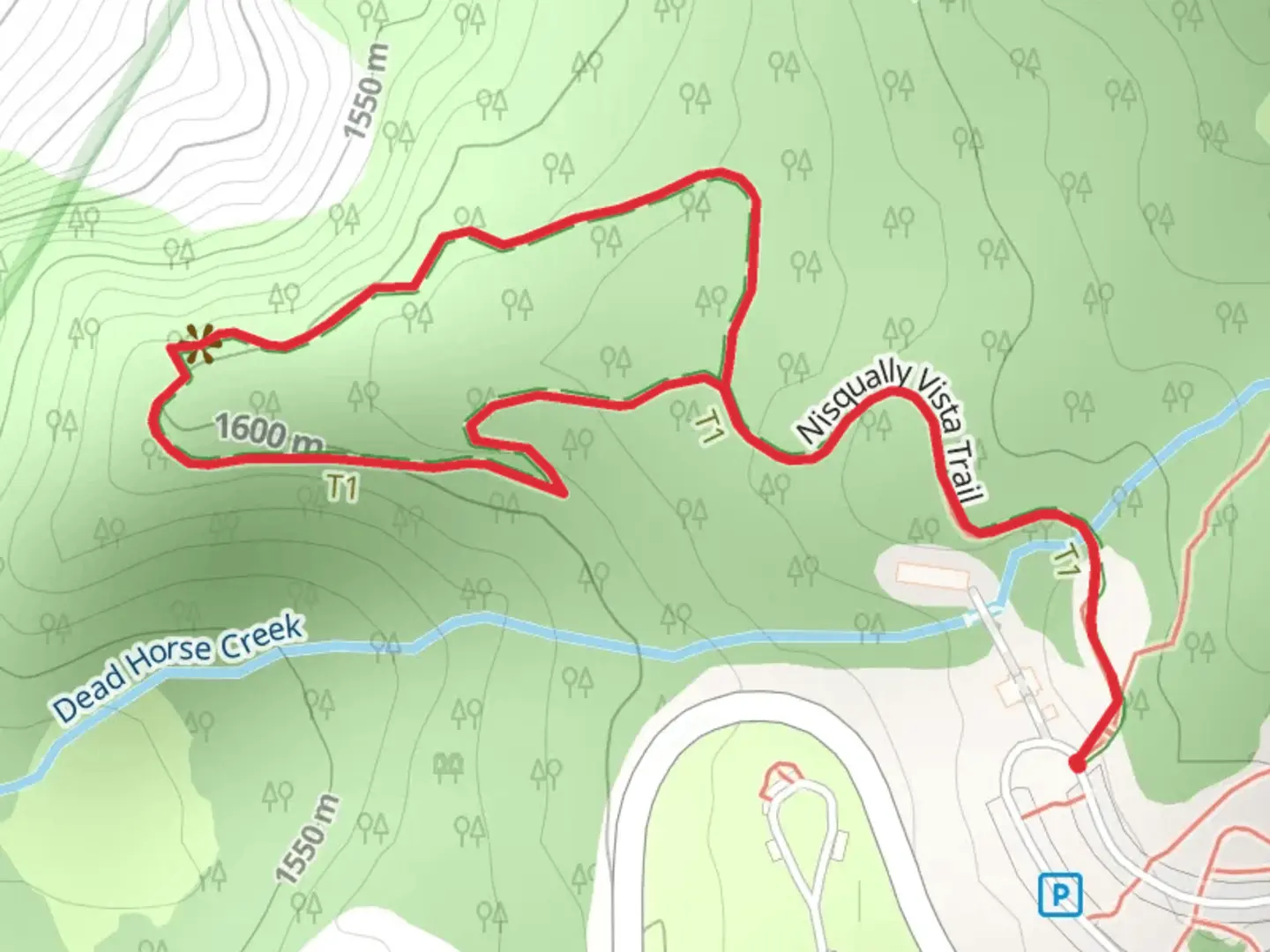 An image depicting the trail Nisqually Vista Loop and its surrounding area.