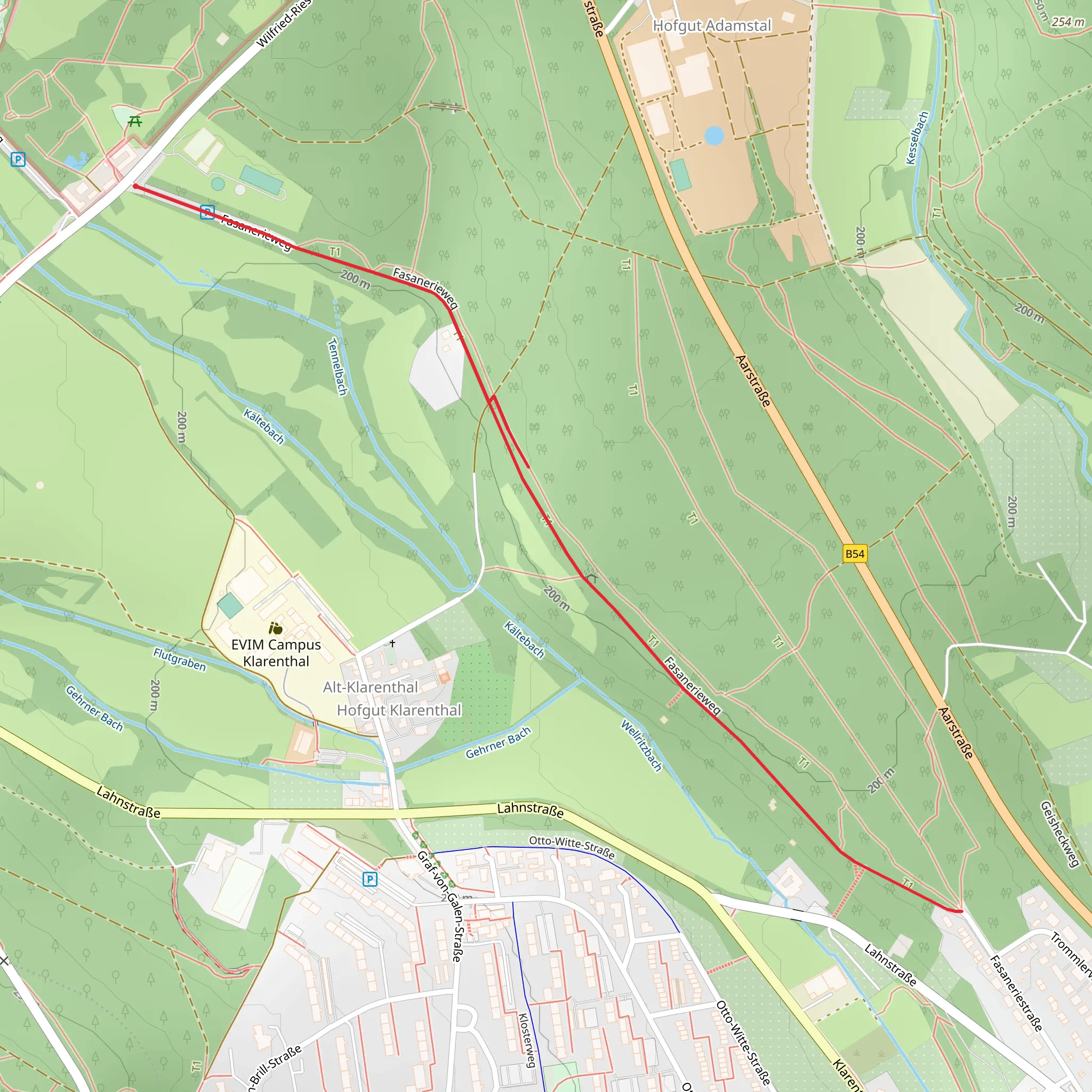 Fasanerieweg Walk mobile static map